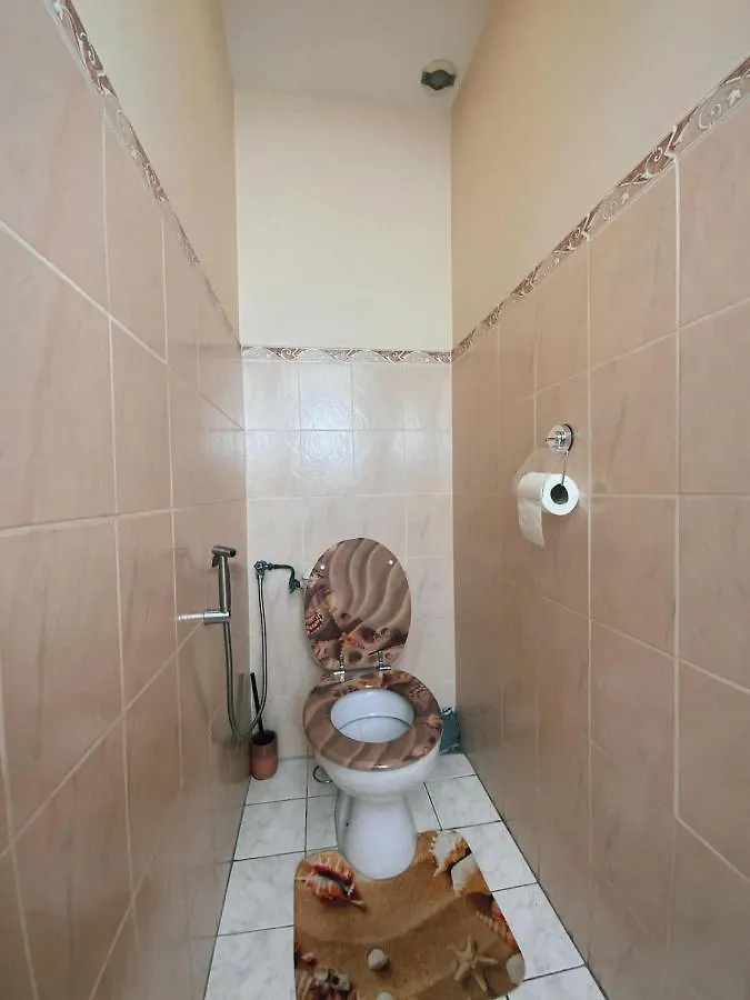 La Perle Rose Only Women Proche Gare Tram Bus Apartment Venissieux